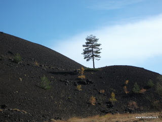 nti Sartorius-04-11-2012 11-57-43